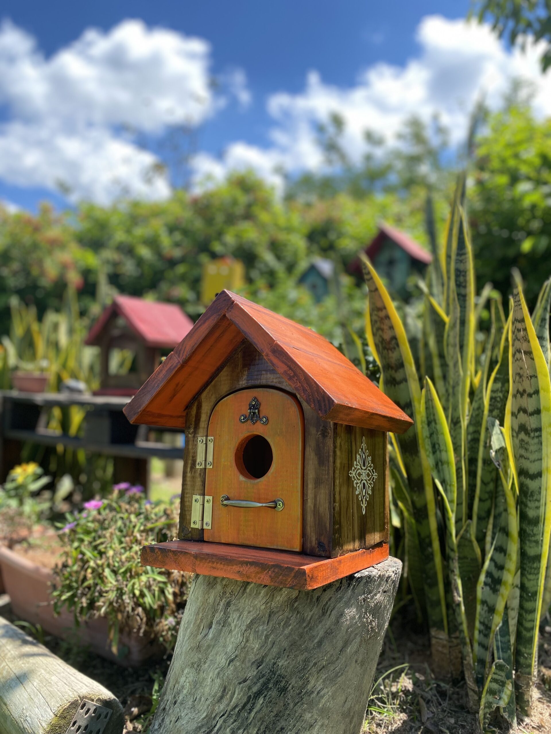 pájaro campana